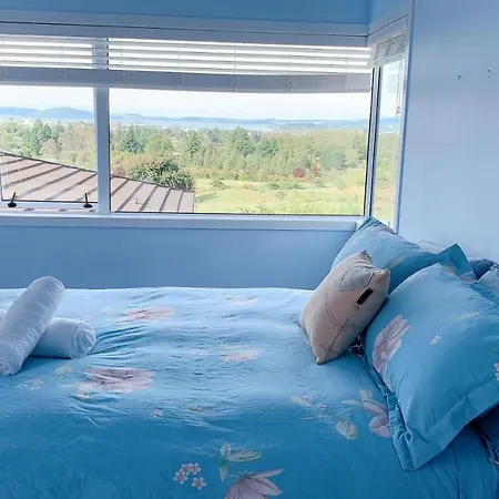 Panoramic View Apartment Without A Kitchen